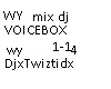 WY MIX DJ VOICEBOX