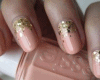 DM Unhas