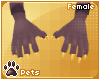 [Pets] Kaisila | claws F