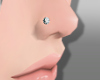 w. Diamond Nose Stud