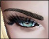 Thick Brows Pam 