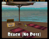 *Beach (No Pose)