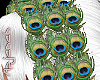 [apj] Headdress peacock