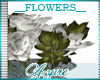 *A* Vitale Flower Vase
