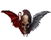 Half evil skull