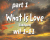 what is love