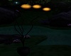 fireflies lantern