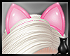 [CS] The Pink Cat Ears