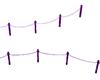 ~R~ wedding purple rope