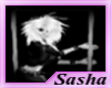 ~S~ Sasha Poster 1