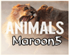Maroon5 Animals