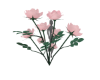 🌹Roses BG🌹