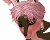 chocolate pink bun hair