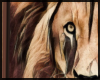 Lion in Gold / Brown