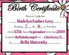 Custom Birth Certificate