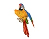 Appt Parrot