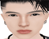 SETSE Head