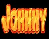 {V} WJR Johnny Leather
