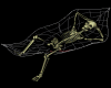 [M32] Esqueleto 11