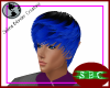 Blue/Black Sweep Hair