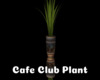*Cafe Club Plant