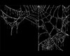 White Animated Cobweb