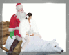 POLAR BEAR & CART RIDE