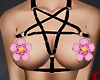 [+] penta harness