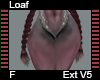 Loaf Ext F V5