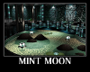Mint Moon Decorated