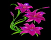 changing flowers