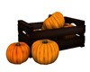 COUNTRY-PUMPKIN CRATE
