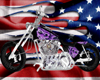 {K} Purple Skull Bike