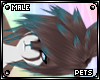 [PETS] Ezi | hair v3