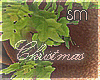 [SM]Christmas_Plant