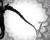 ~K~Goth/M/F/Tail