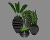 ~My WlvnprCastl Plant V8