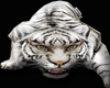 (AV)White Tiger Guard