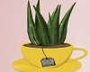 iK* Aloe Plant tea Cup
