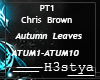 Chris Brown - Autumn L