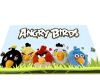 ANGRY BIRDS MAT LARGE