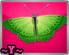 ~Y~Flying Butterflies 