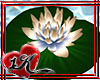 !!1K ME Water Lilly