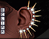 Ear accessory