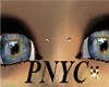 !PNYC!BridgePiercing