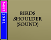 Birds Shoulder (Sound)