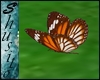 ".Flying Butterfly."Mrw