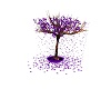 arbre lillas violet