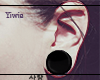 ⚛. Black Plugs