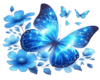 Blue Butterfly Roses